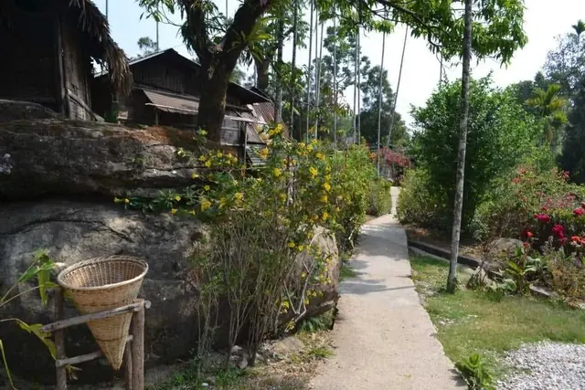 A paved village path lined with plants and a bamboo basket in Mawlynnong, Meghalaya