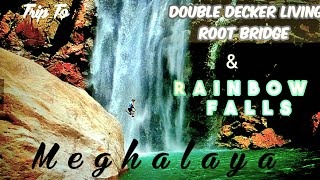 Double Decker Living Root Bridge Meghlaya