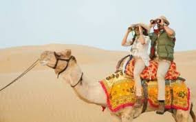 Camel ride across the sand dunes of Jaisalmer, offering an authentic desert experience at sunset