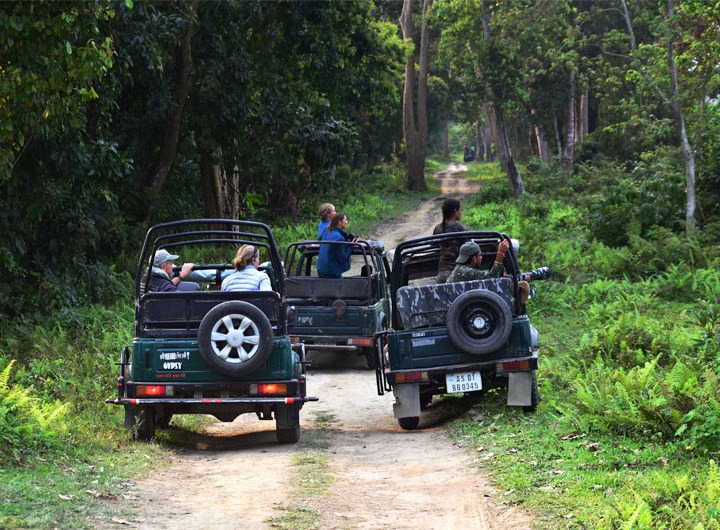 Jeep safari