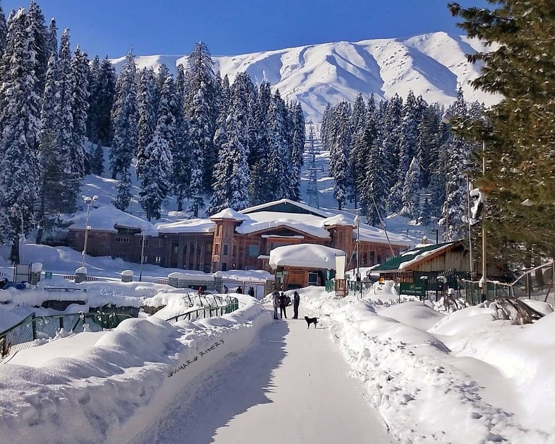 drive from Srinagar to Gulmarg