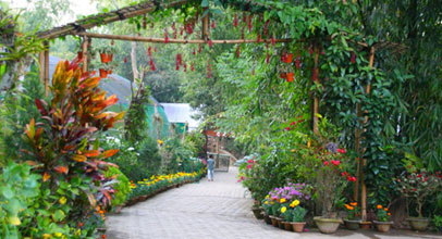 Kaziranga Orchid and Biodiversity Park