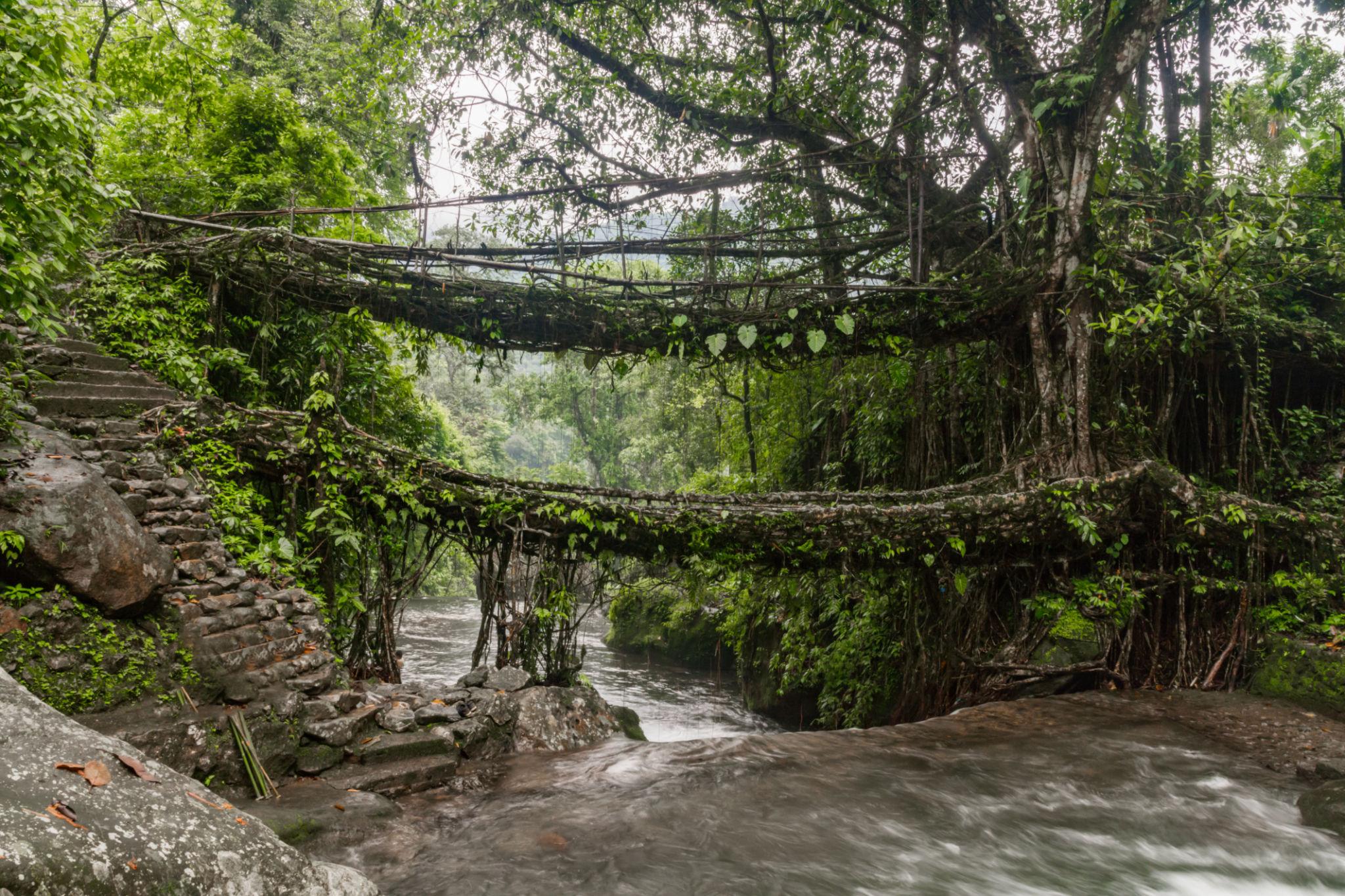 Double Decker Living Root Bridge Trek