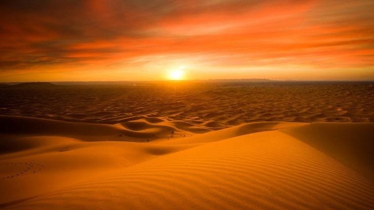Sunset Camel Safari in Jaisalmer