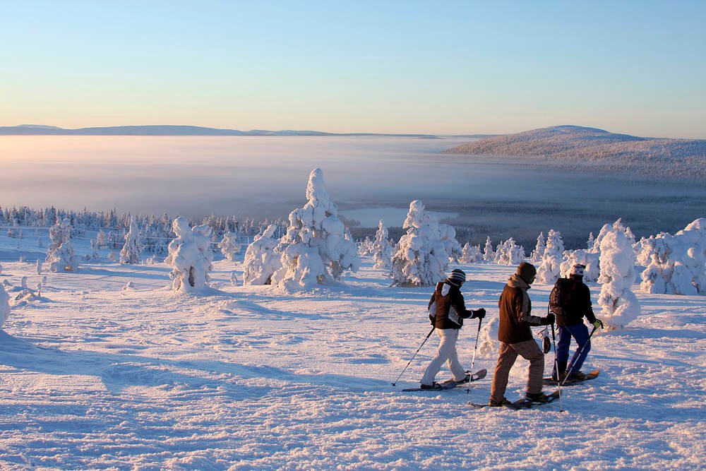 Snowy Adventure Bliss