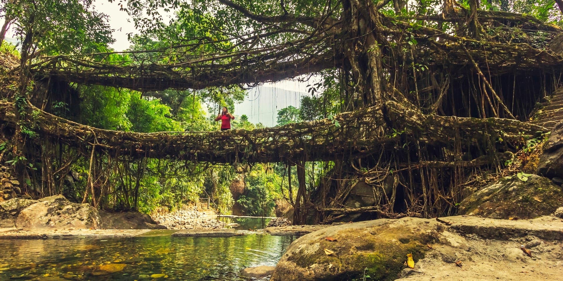 Honeymoon Tour Operator Meghalaya for 3 Days- Price and Itinerary