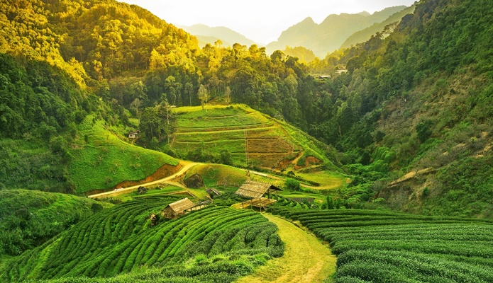Tour Packages in Arunachal Pradesh